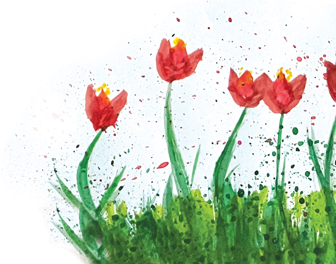 tulips.jpg